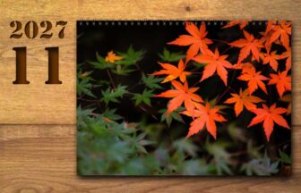 2027年11月の運勢カレンダー