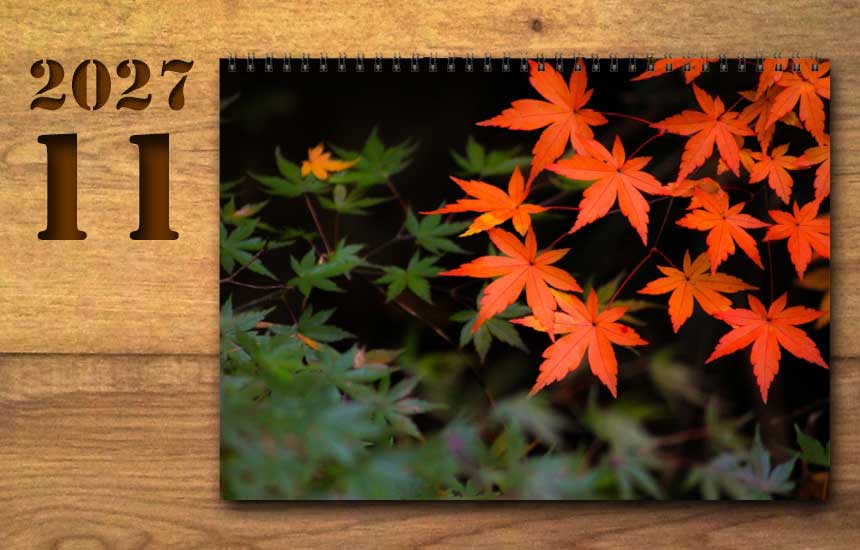 2027年11月の運勢カレンダー